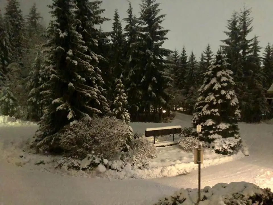 Apartment Powderhorn By Whistler Blackcomb Vacation Rentals