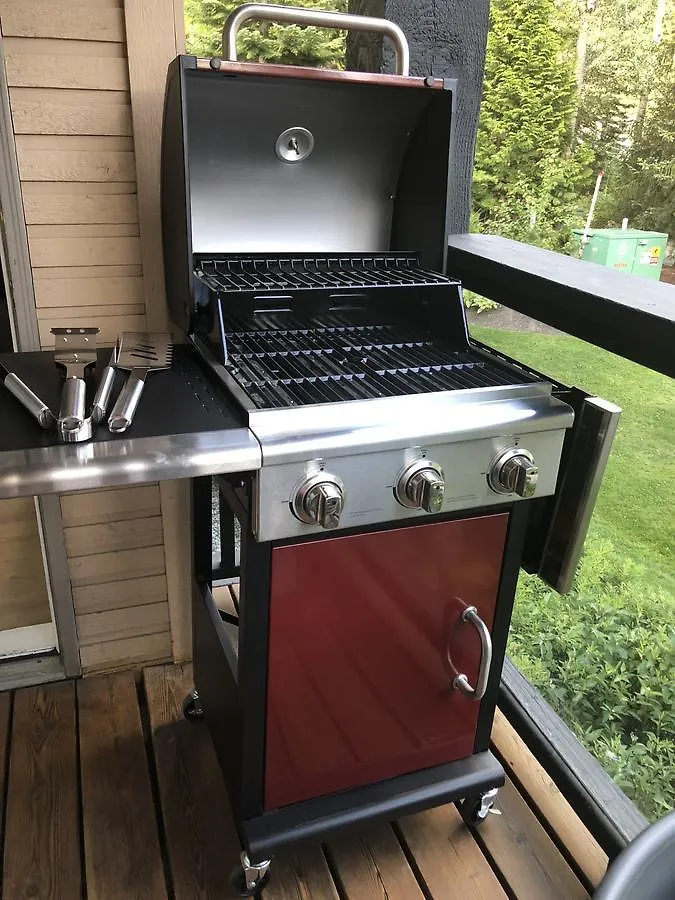 Powderhorn By Whistler Blackcomb Vacation Rentals Apartment